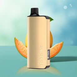 Alibarbar Ingot 9000 Pūsų Mango Magija su 22ml Skysčio 2350mAh Baterija LED Ekranu